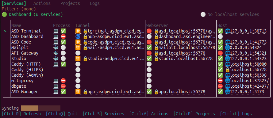 ASD Net terminal interface showing 12 services with status indicators